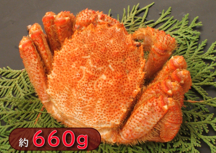 【送料込】冷凍ボイル毛蟹 約660g×1尾